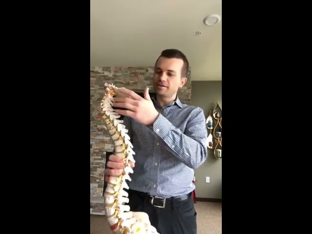 A man in a checkered shirt holds and points to a detailed model of a human spine, demonstrating its structure.