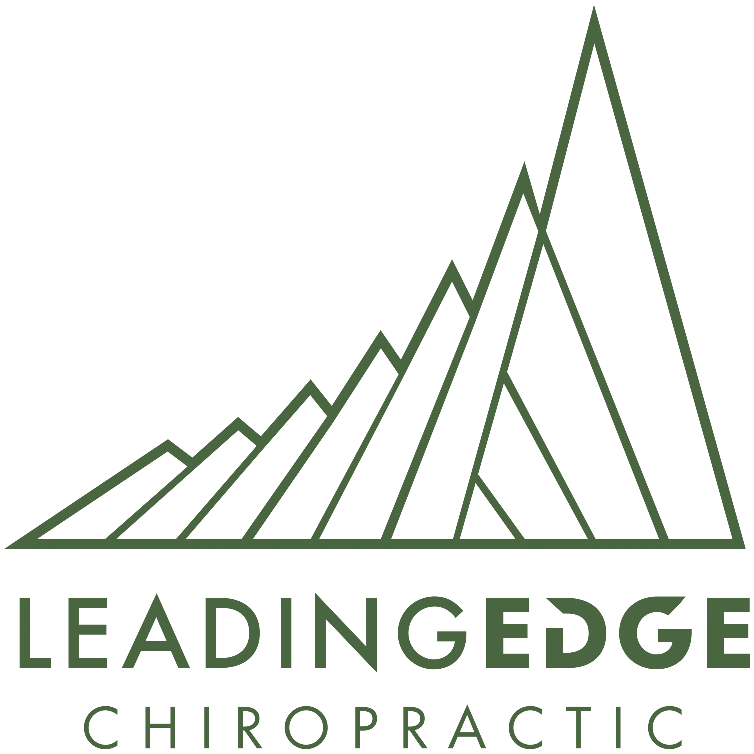 Logo for LeadingEdge Chiropractic. It features stylized dark green mountain peaks above the words 'LEADINGEDGE CHIROPRACTIC' on a black background.